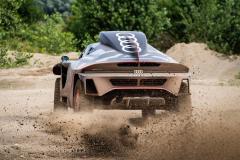 Audi RS Q e-tron