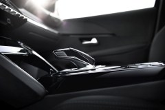 Peugeot 208 Car Of The Year 2020