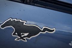 Mustang Mach-E AWD