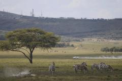 Rajd Safari 2021, dzień 2, Sobiesław Zasada / Tomasz Borysławski