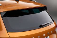 Skoda KAROQ 2022