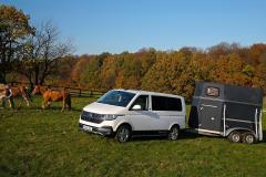 Volkswagen Multivan 6.1 PanAmericana