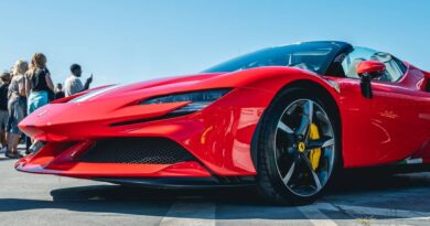 AUTO MOTO SHOW Toruń 2024